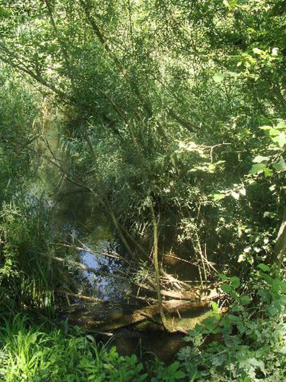 Appartementhaus Loewenzahn Bad Füssing Esterno foto